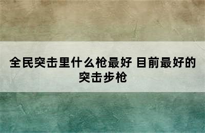 全民突击里什么枪最好 目前最好的突击步枪